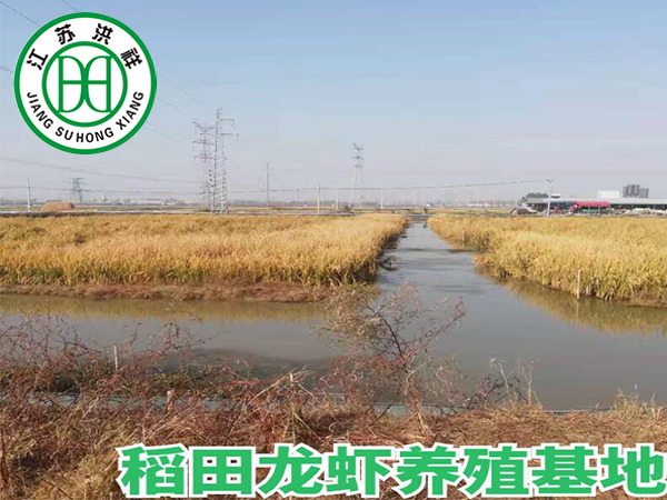 熱軋圓鋼
