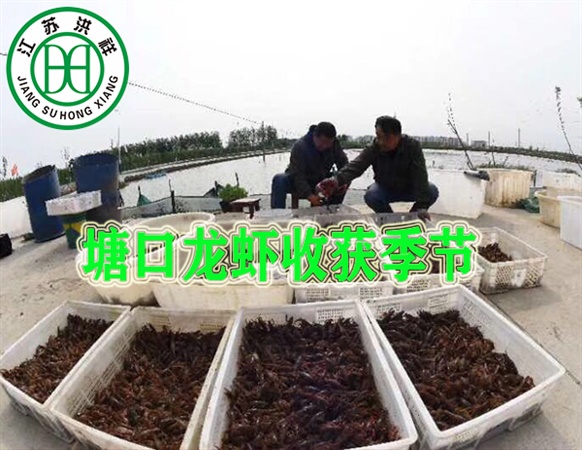 熱軋圓鋼