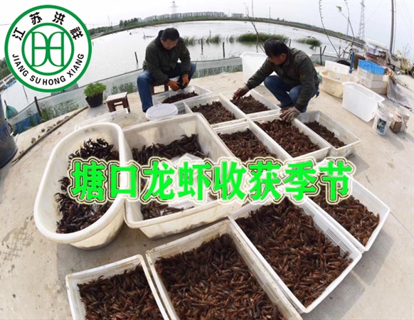 熱軋圓鋼