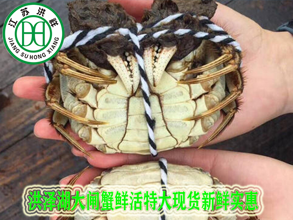 工字鋼